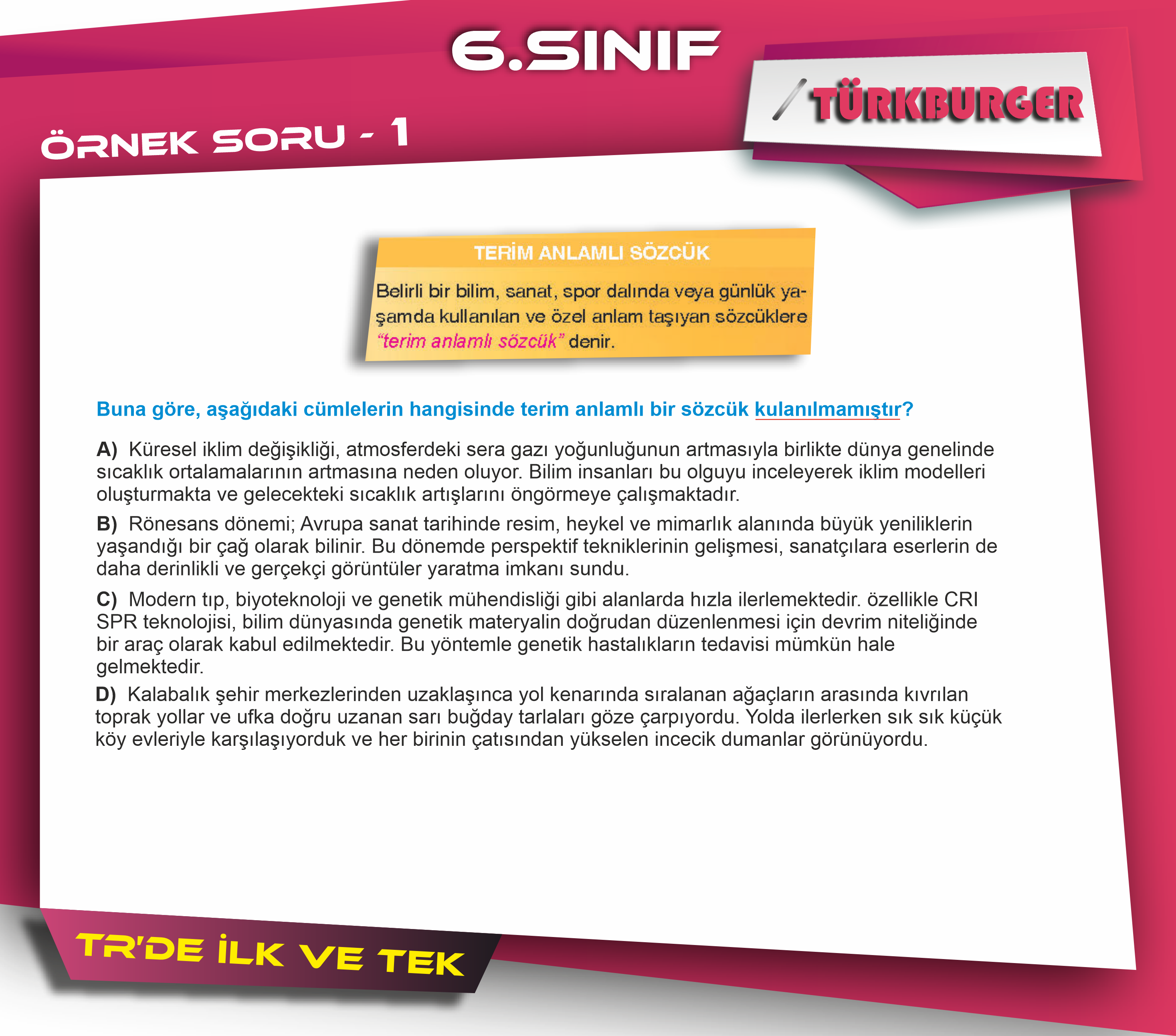 TürkBurger Örnek Sorular61