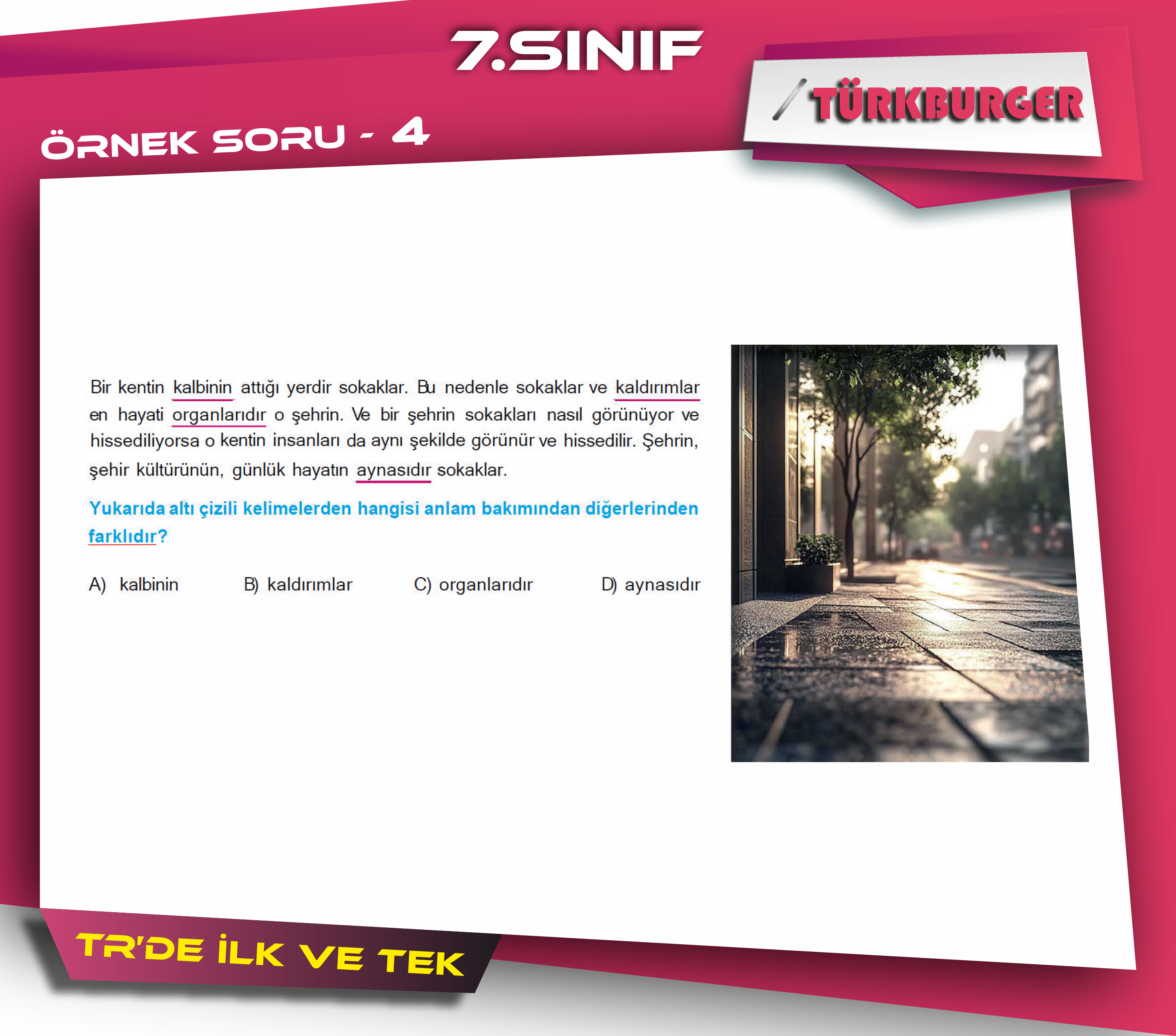 TürkBurger Örnek Sorular74