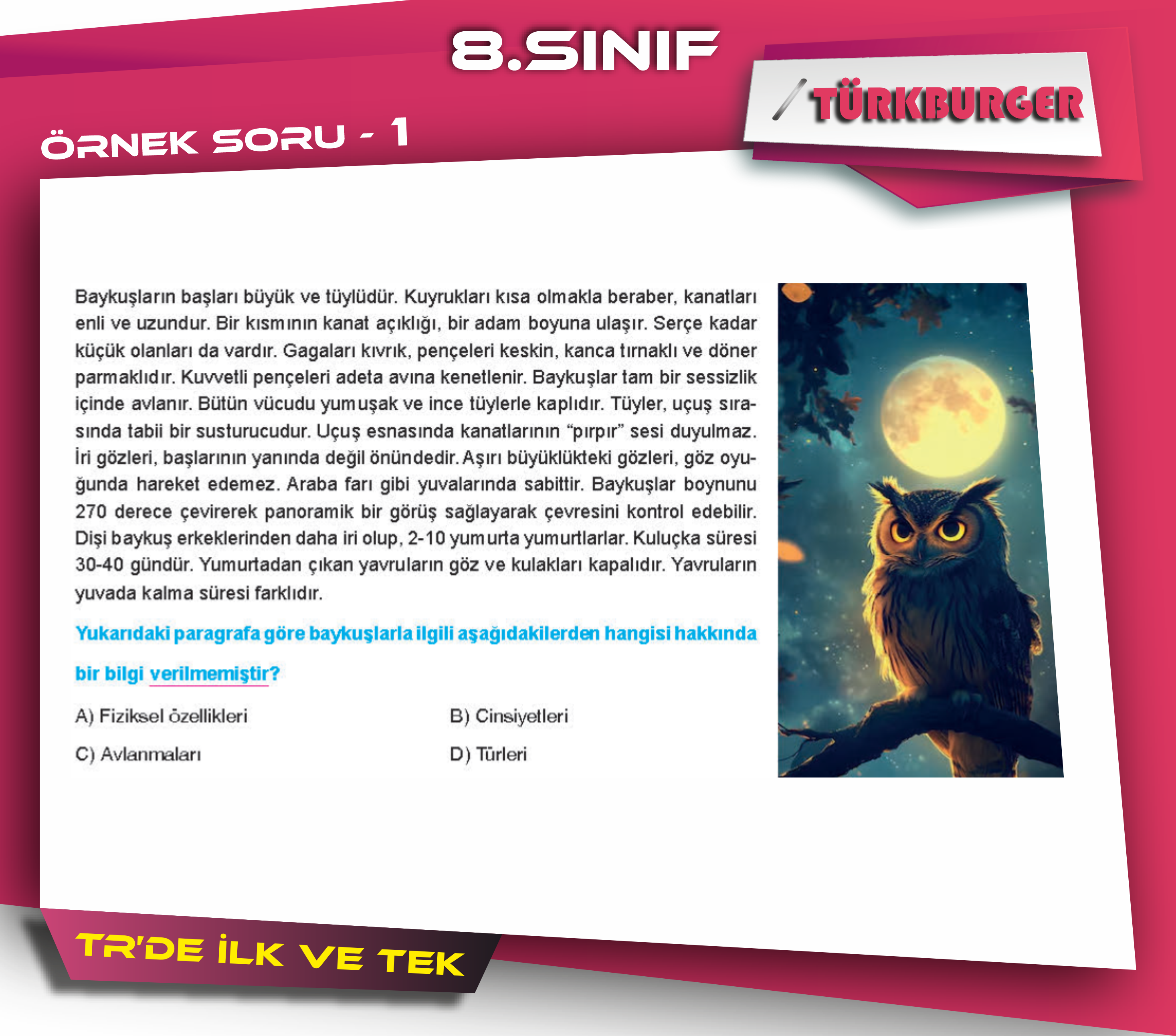 TürkBurger Örnek Sorular81