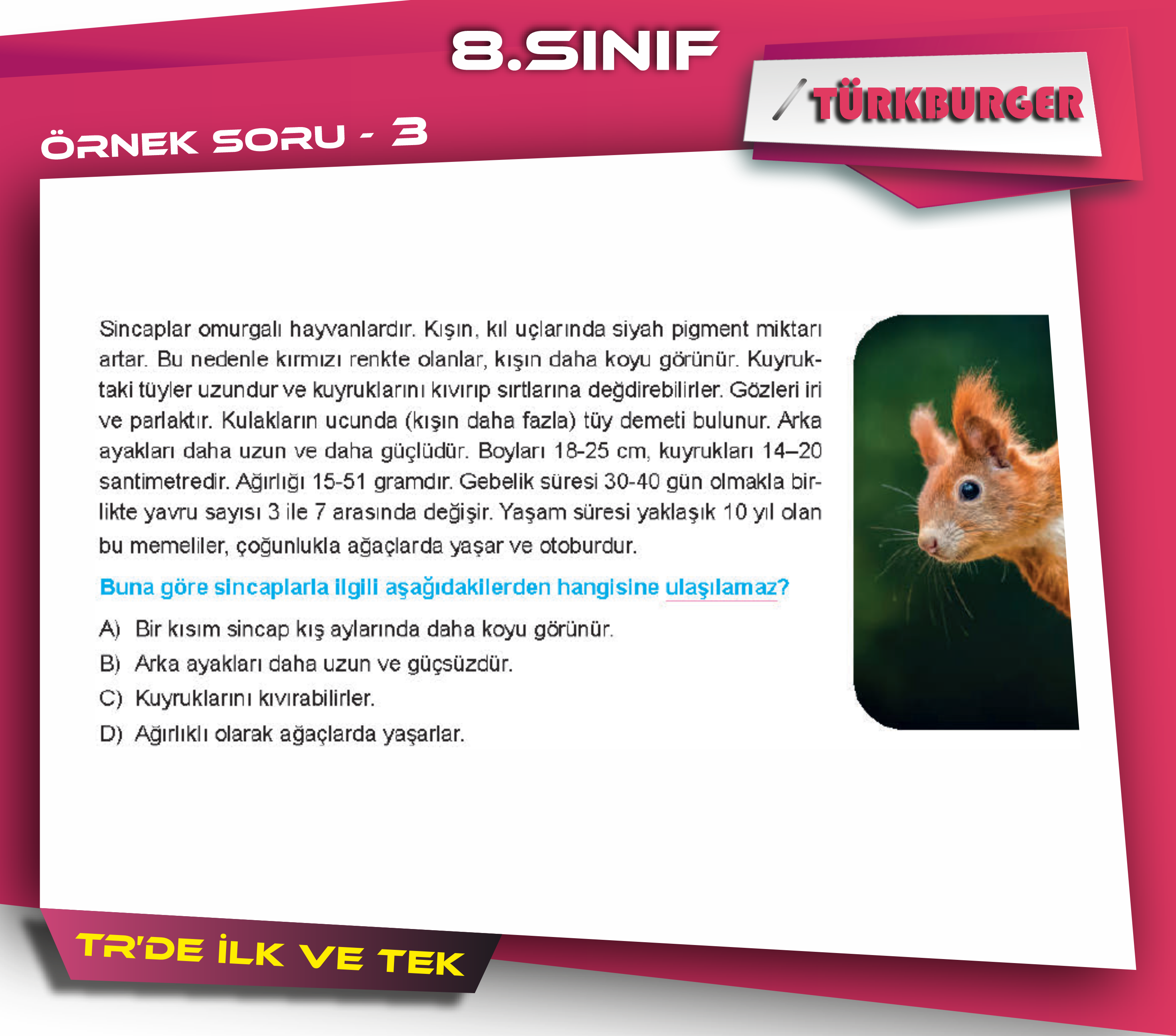 TürkBurger Örnek Sorular83